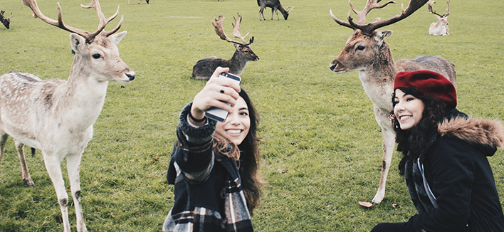 Phoenix Park, Dublin